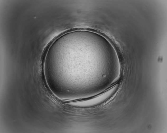 X0000098221167200805011227