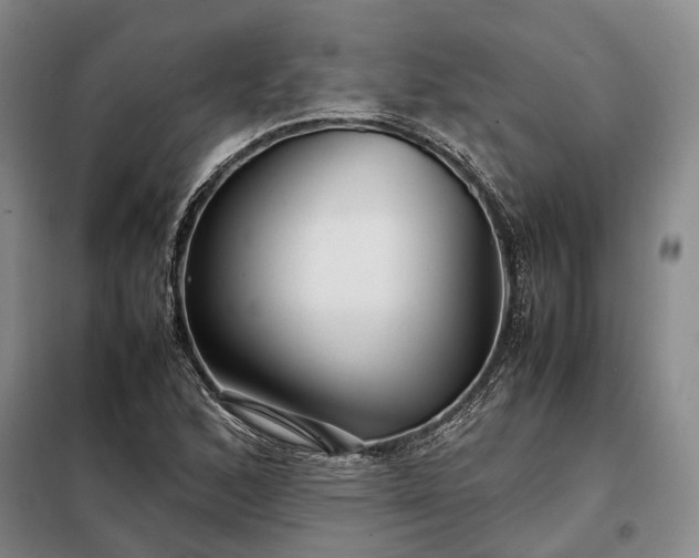 X0000098221168200805011227