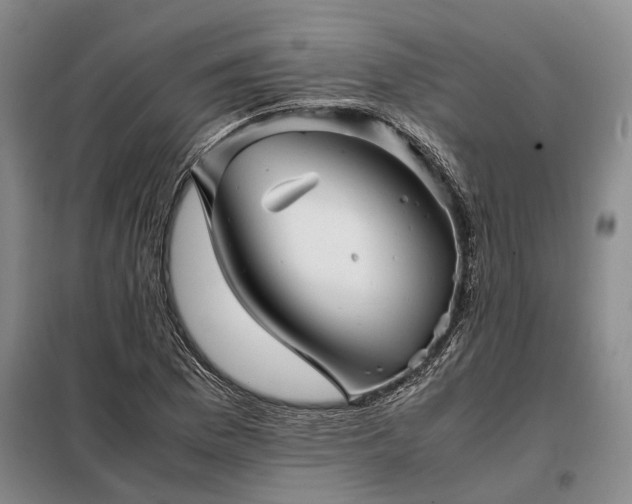 X0000098221169200805011227