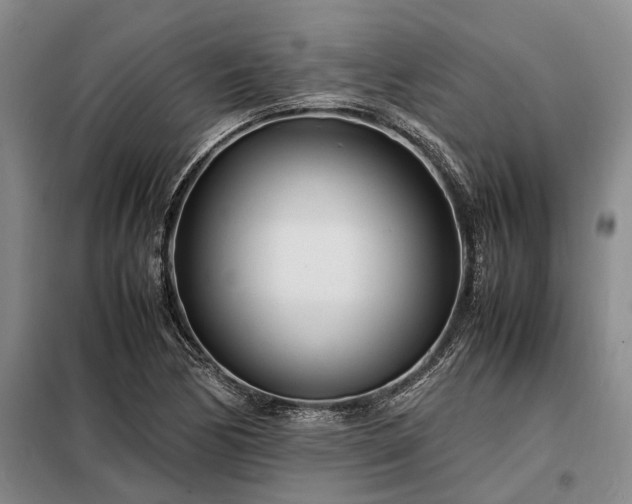 X0000098221170200805011227