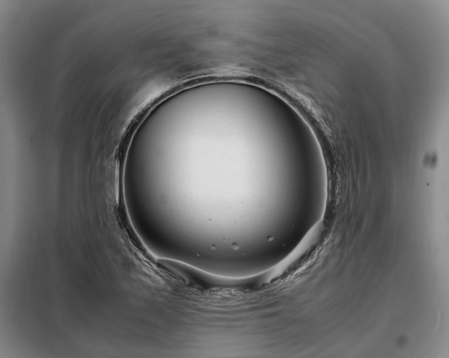 X0000098221171200805011227