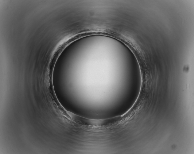 X0000098221172200805011227