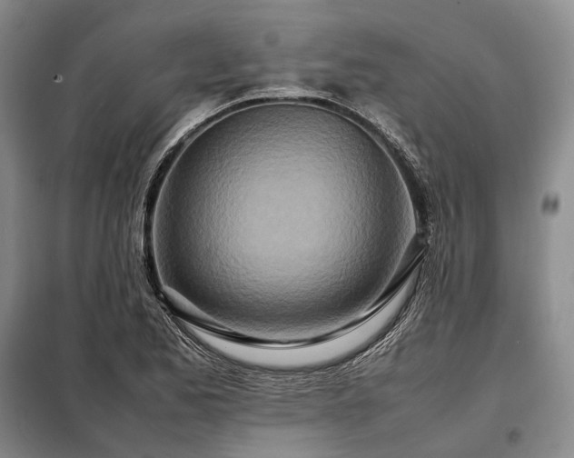 X0000098221173200805011227