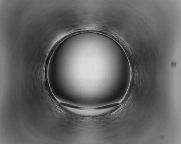 X0000098221174200805011227