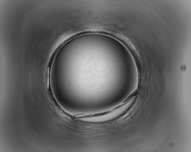 X0000098221175200805011227