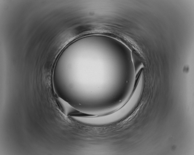 X0000098221177200805011227