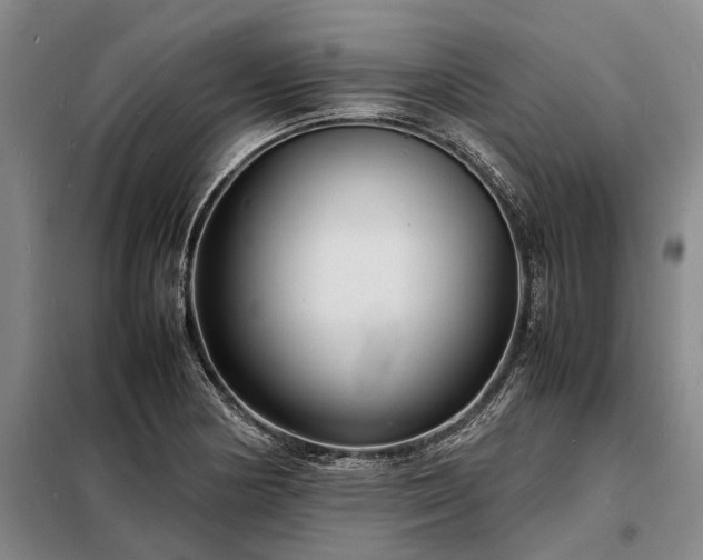 X0000098221178200805011227