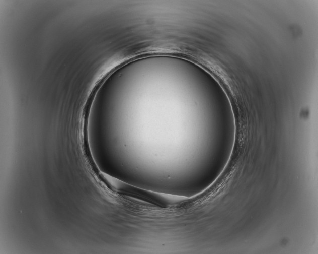 X0000098221179200805011227