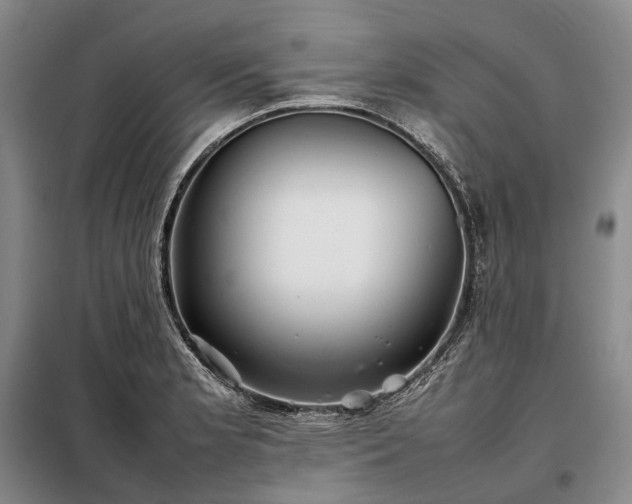 X0000098221181200805011227