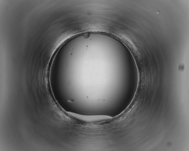 X0000098221182200805011227