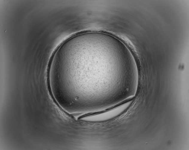 X0000098221183200805011227