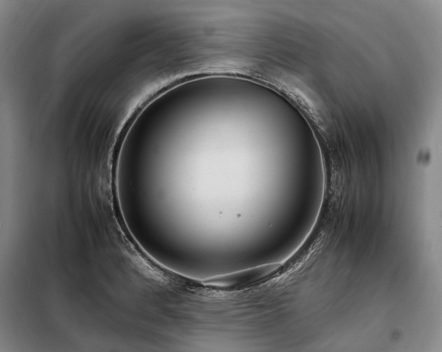 X0000098221184200805011227