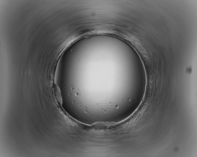 X0000098221185200805011227