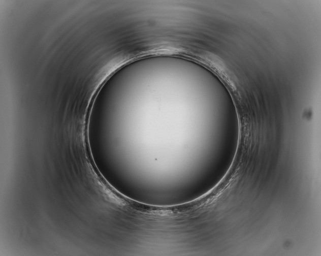 X0000098221186200805011227