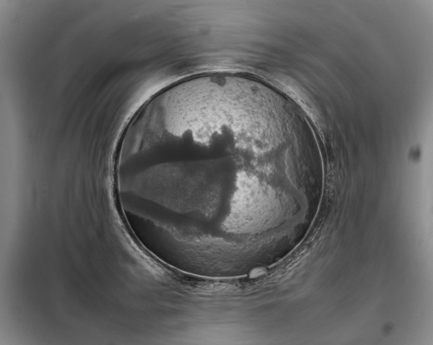 X0000098221187200805011227