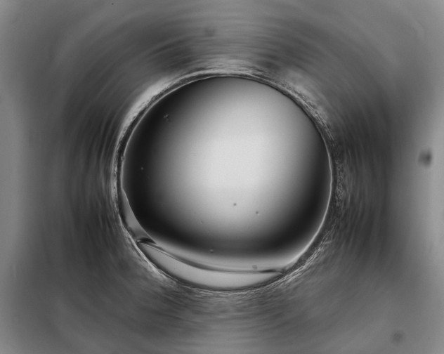 X0000098221188200805011227