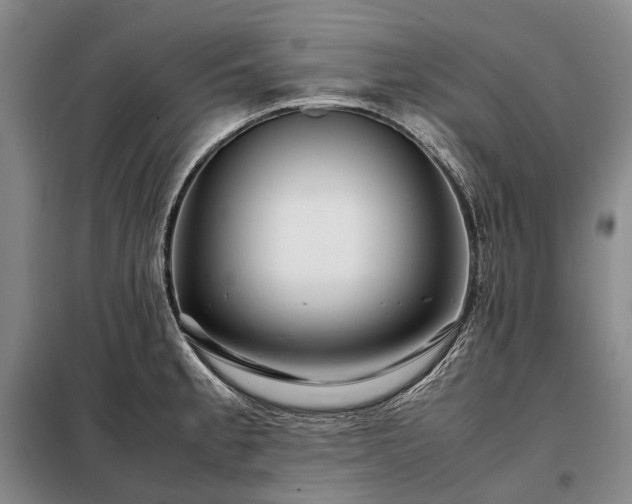 X0000098221189200805011227