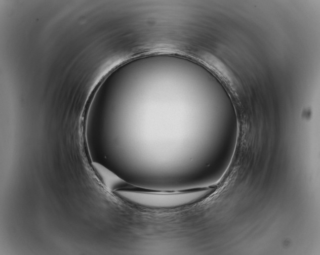 X0000098221190200805011227