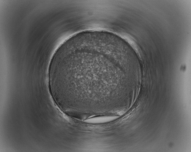 X0000098221191200805011227