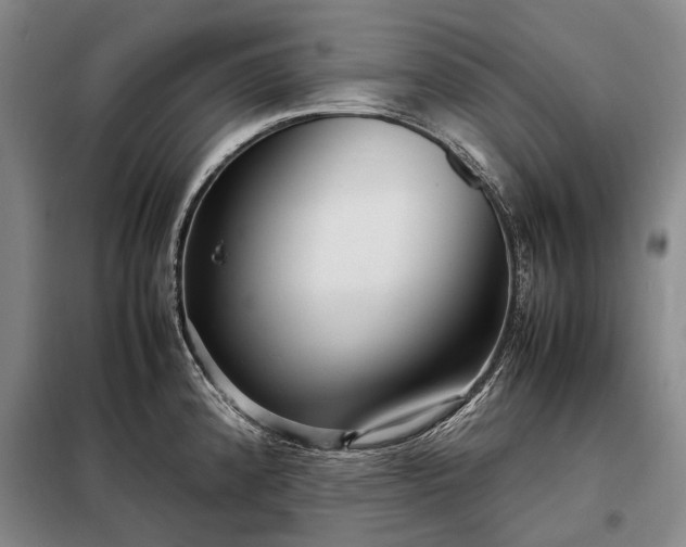 X0000098221192200805011227