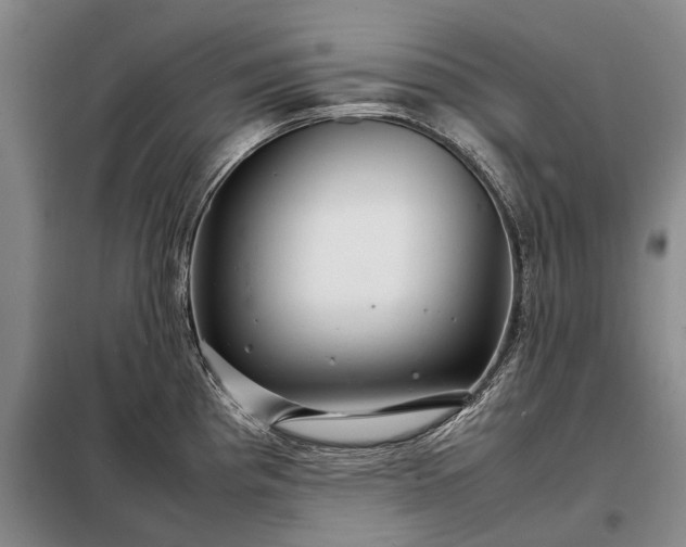 X0000098221193200805011227