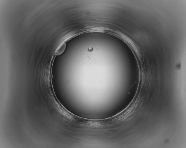 X0000098221194200805011227