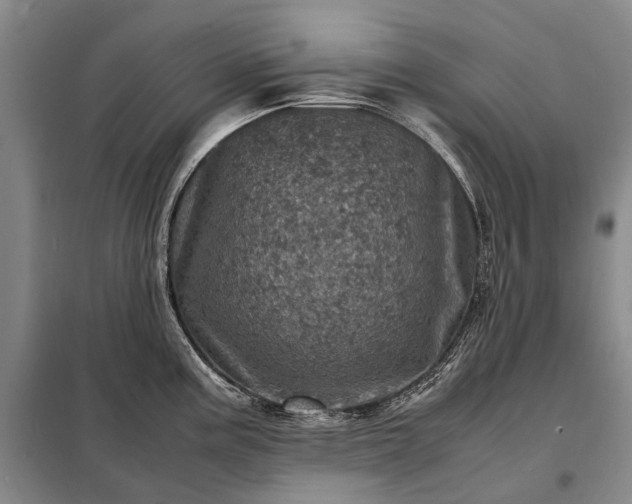 X0000098221195200805011227