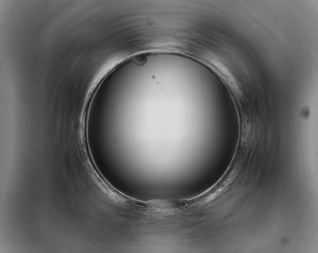 X0000098221196200805011227