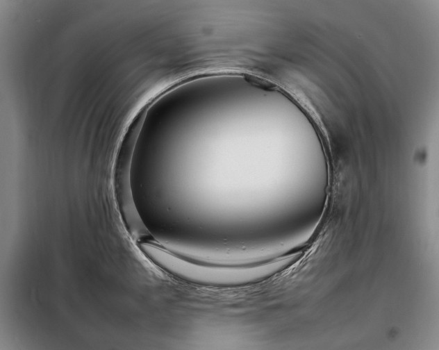 X0000098221197200805011227