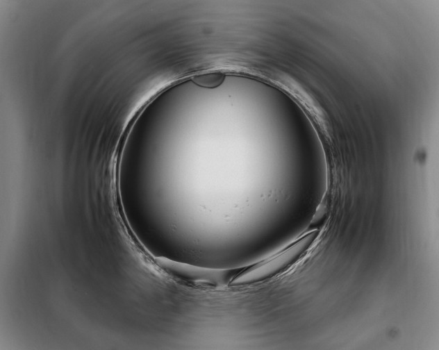 X0000098221198200805011227