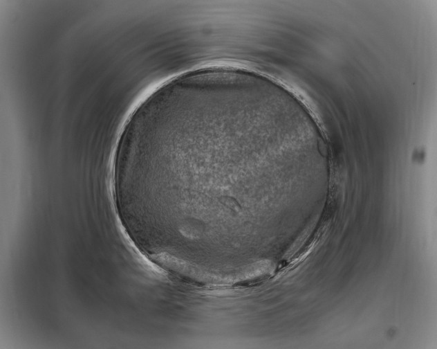 X0000098221199200805011227