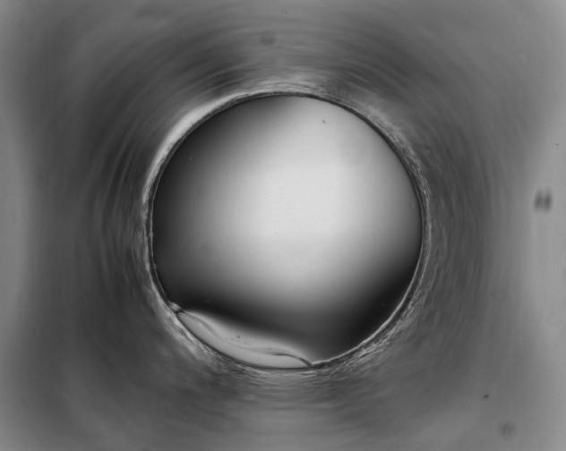 X0000098221200200805011227