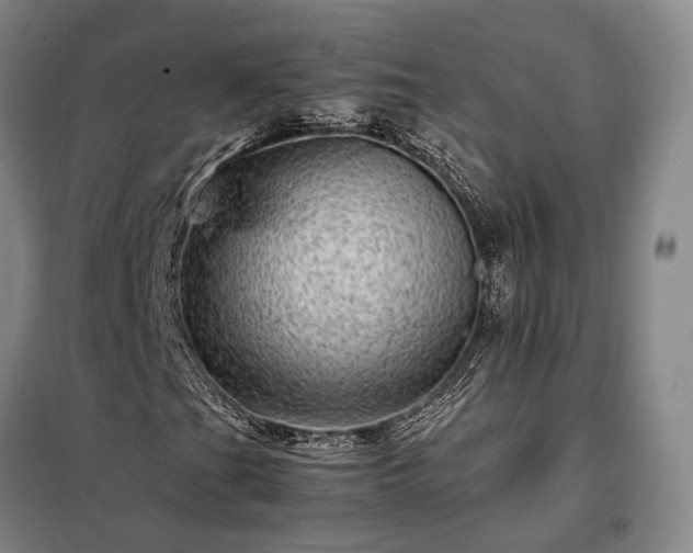 X0000098221201200805011226