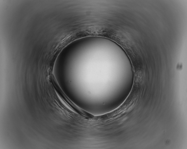 X0000098221202200805011226