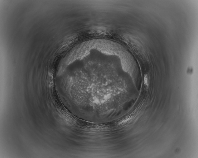 X0000098221203200805011226