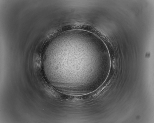 X0000098221204200805011226