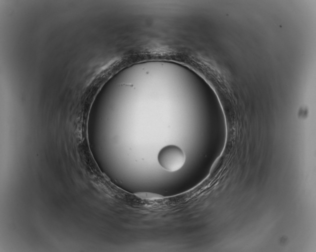 X0000098221205200805011226