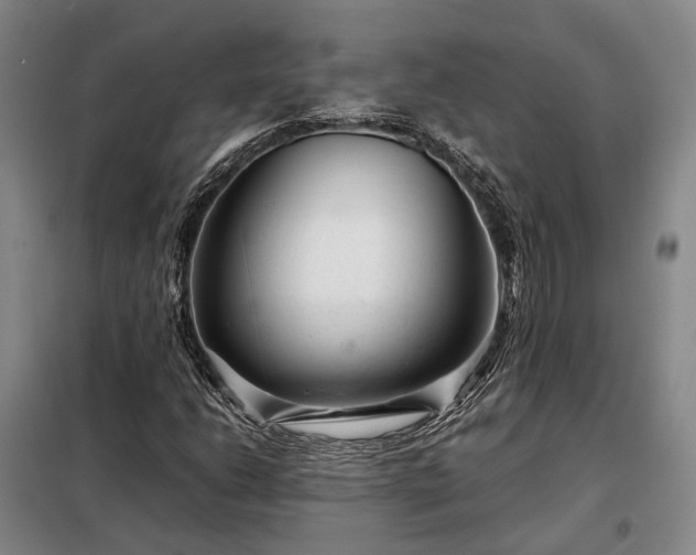 X0000098221206200805011226