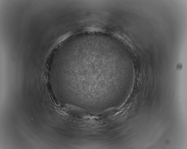 X0000098221207200805011226