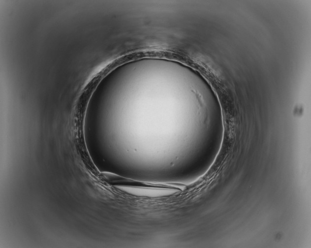 X0000098221208200805011226