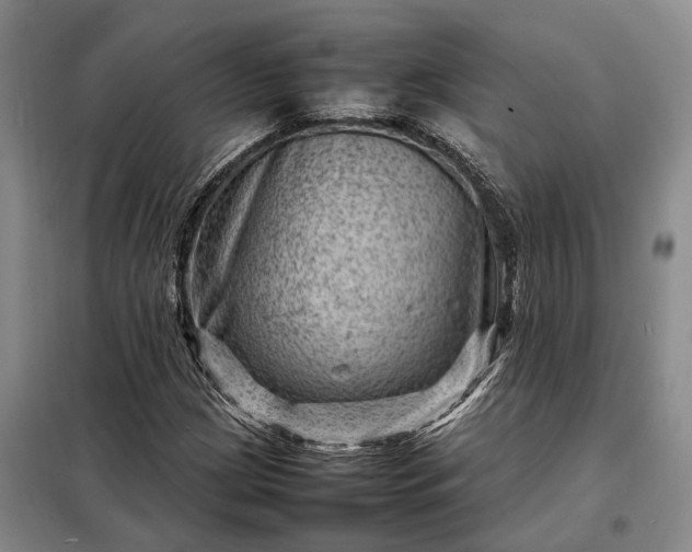 X0000098221209200805011226