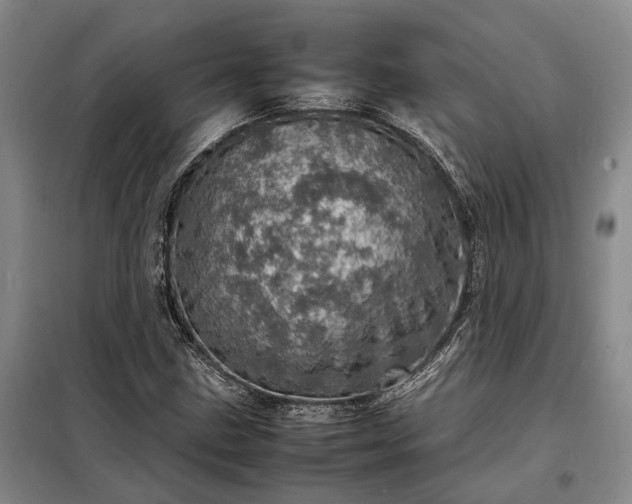 X0000098221211200805011226