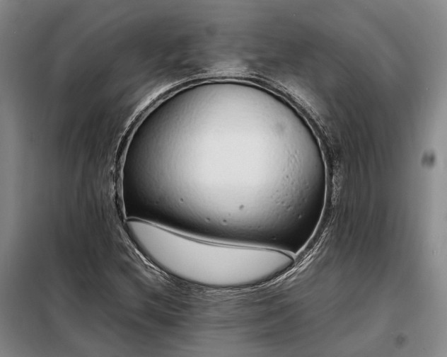 X0000098221212200805011226