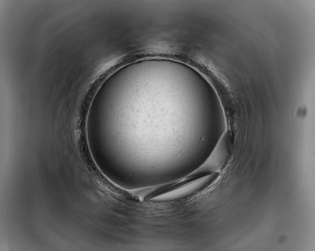 X0000098221213200805011226