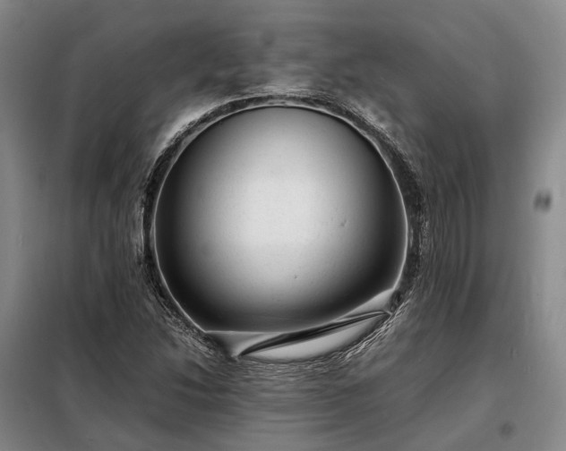 X0000098221214200805011226