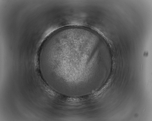 X0000098221215200805011226