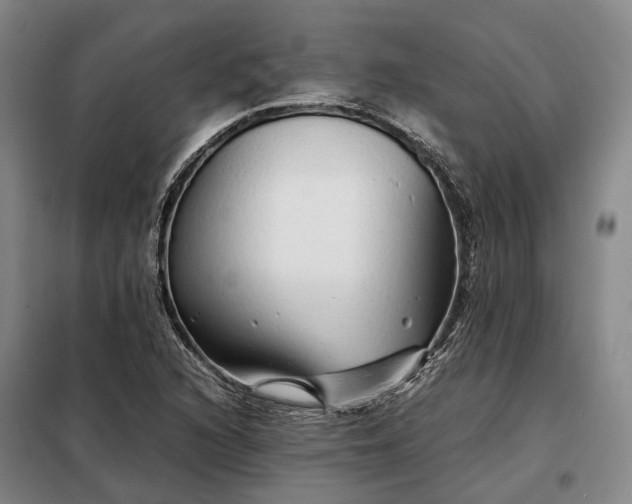 X0000098221216200805011226