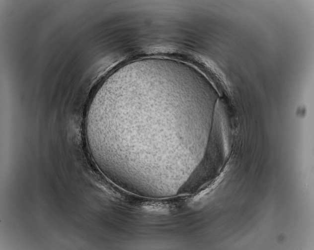 X0000098221217200805011226