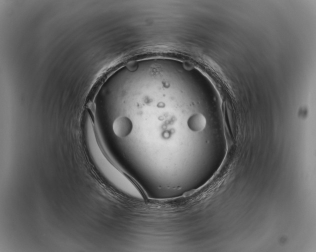 X0000098221218200805011226