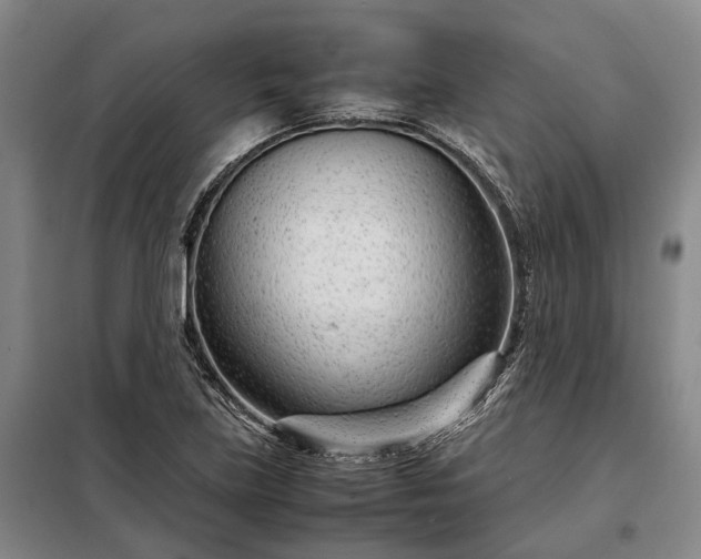 X0000098221219200805011226